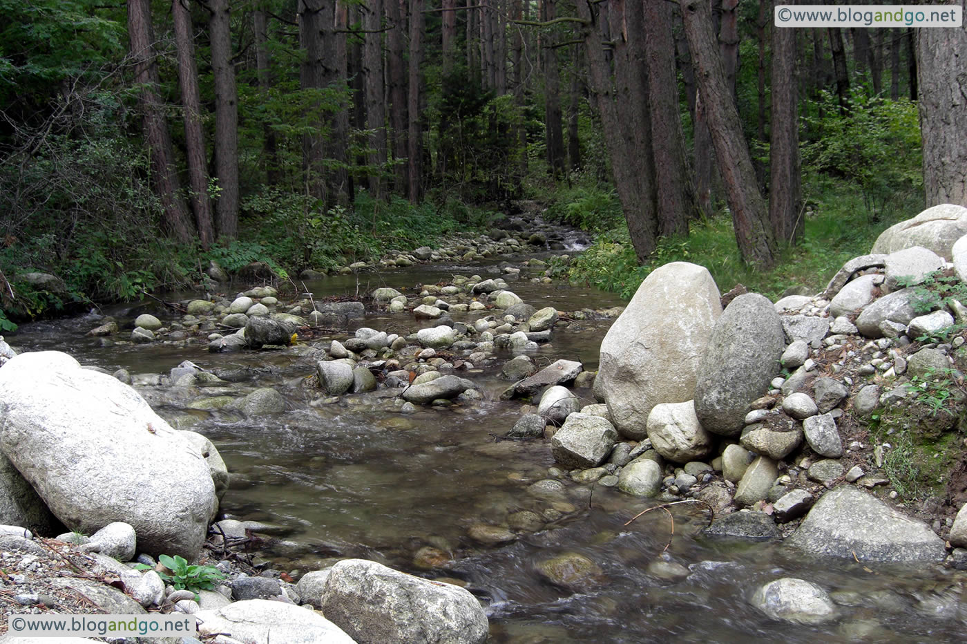 Bansko - Mountain stream